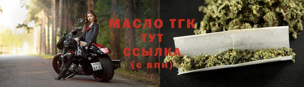 индика Коряжма