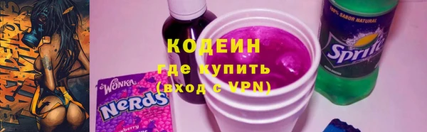 индика Коряжма