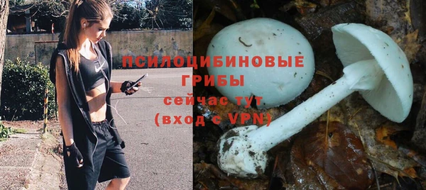 круглые Козловка