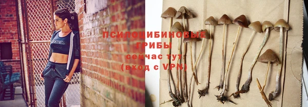 трава Козельск