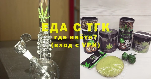индика Коряжма