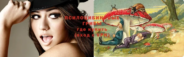 spice Костерёво